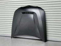 BMW Cs Style Hood for E90 BMW 3 Series